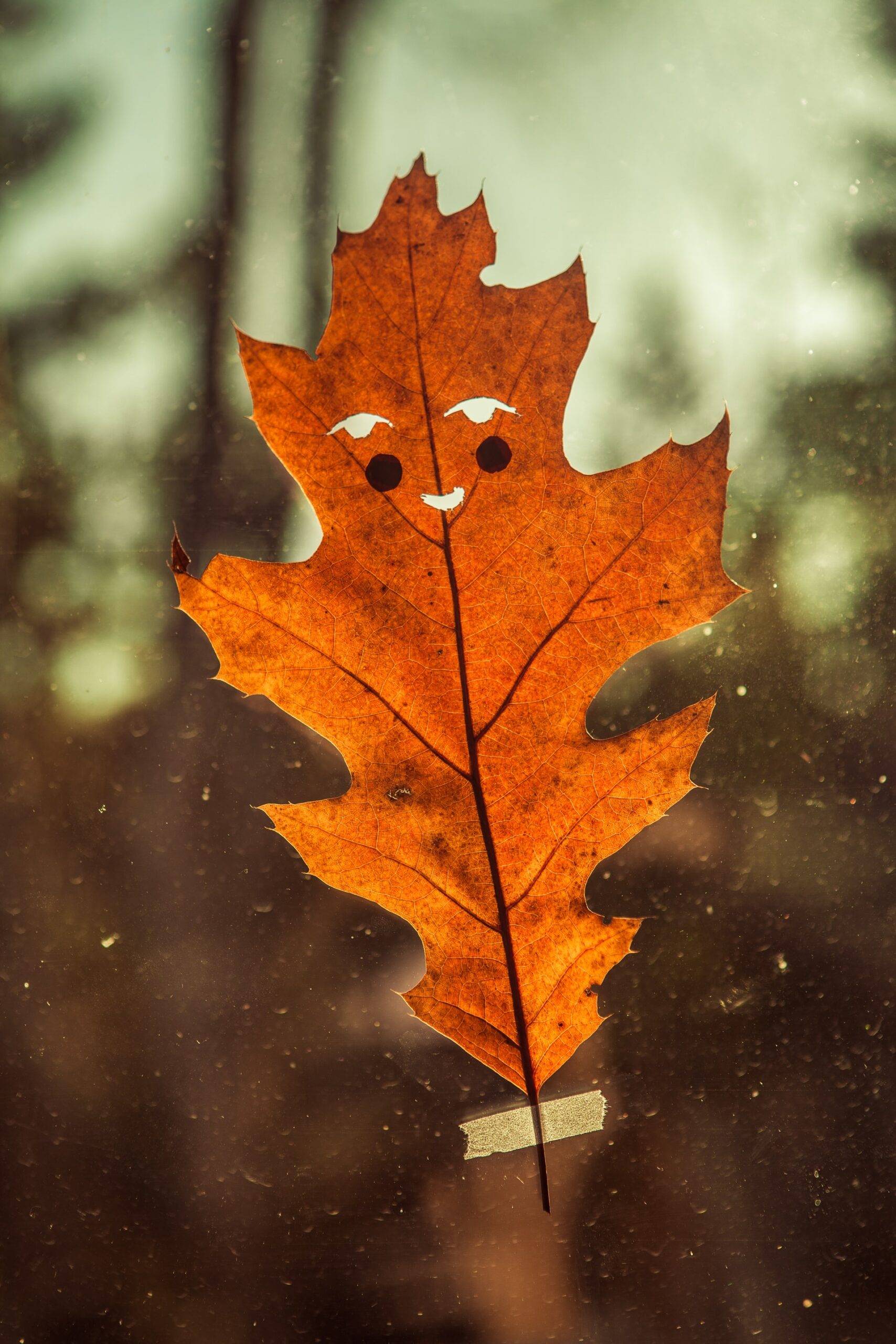 zuzana-hersalkova-sDog2f6QHvY-unsplash